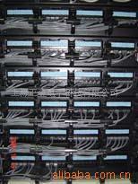 專業布線工程全方位解析 從施工到產品，上海正金電子科技引領網絡工程新標準